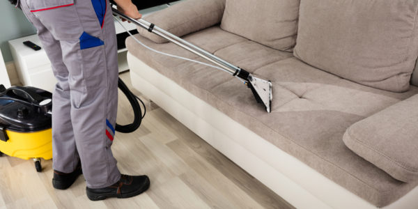 Upholstery Cleaner GA